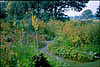 Vegetable Garden. Click to enlarge