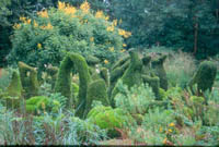 Topiary - Click to enlarge